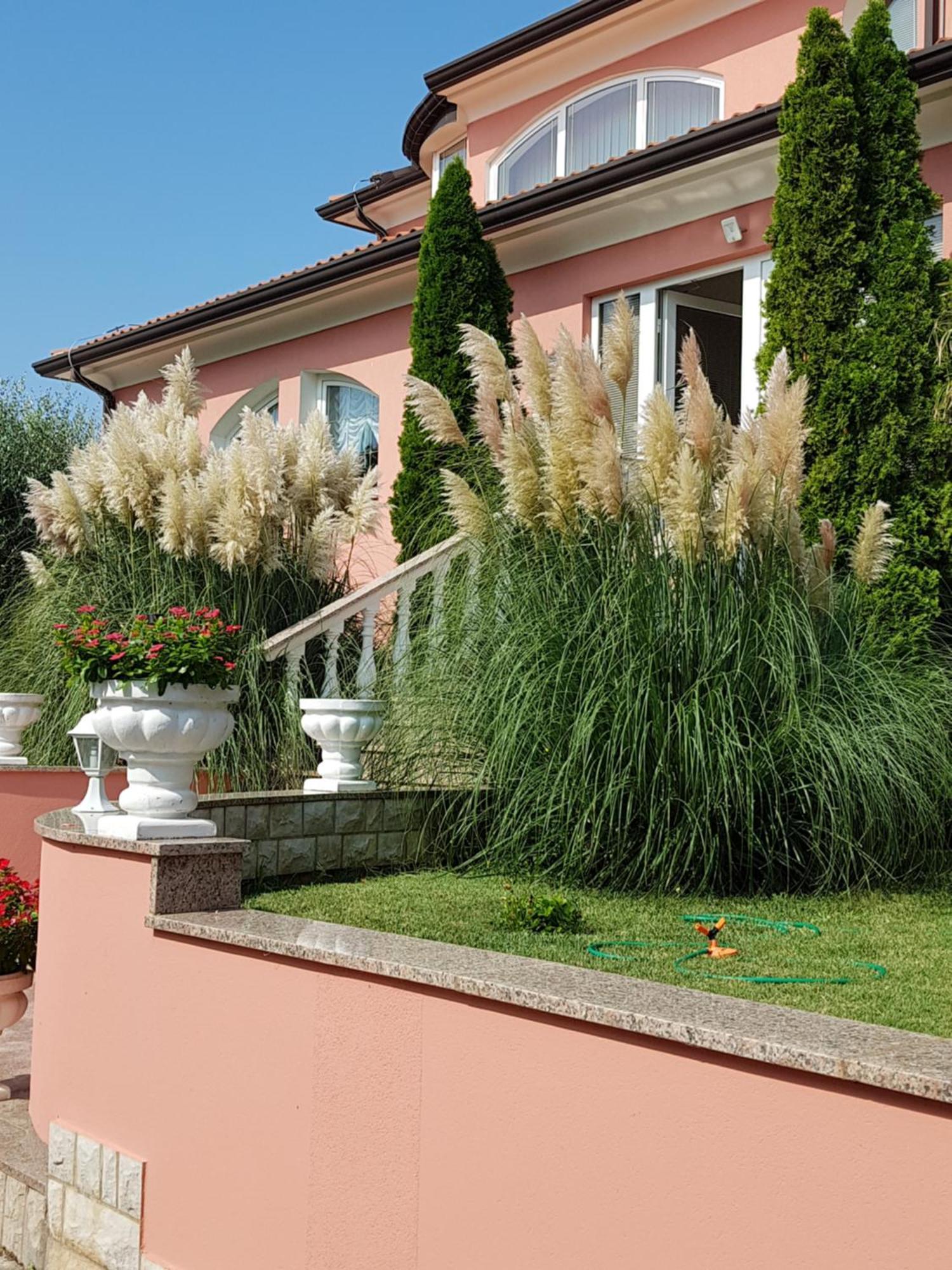 Apartments And Rooms Villa Chiara Krnica Exterior foto