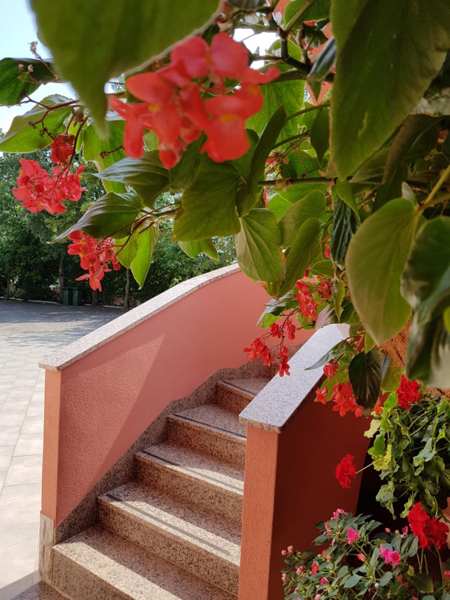 Apartments And Rooms Villa Chiara Krnica Exterior foto