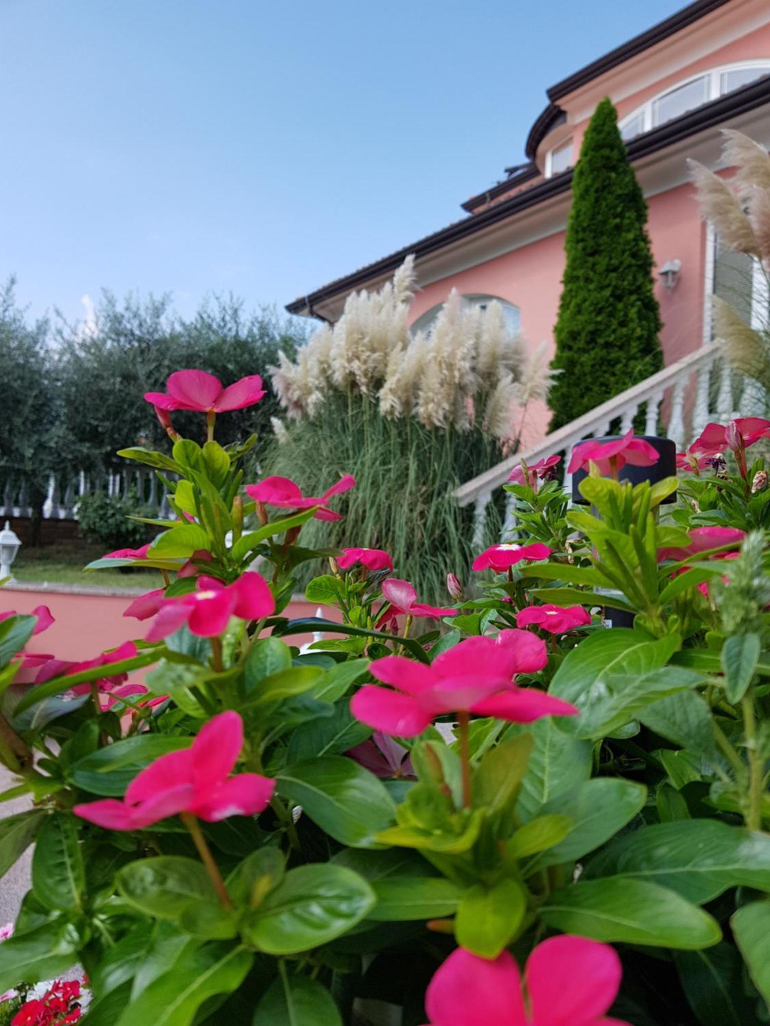 Apartments And Rooms Villa Chiara Krnica Exterior foto